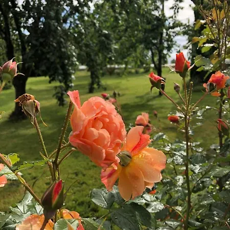Hotel Wohlfuehlhotel Sonnengarten